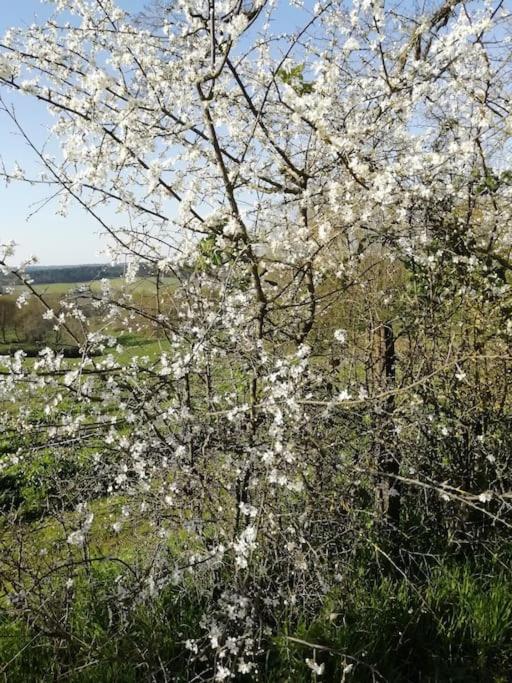 Gite Aux Bois D'En Temps Lunas  Εξωτερικό φωτογραφία