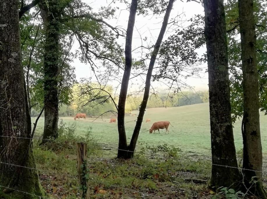 Gite Aux Bois D'En Temps Lunas  Εξωτερικό φωτογραφία