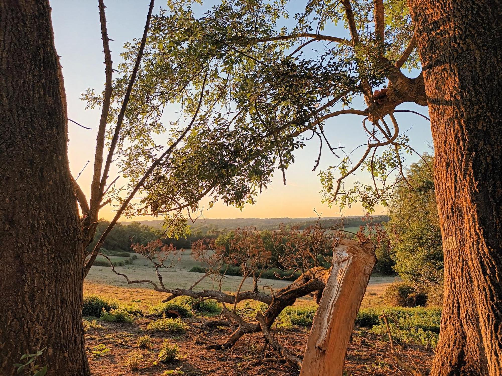 Gite Aux Bois D'En Temps Lunas  Δωμάτιο φωτογραφία